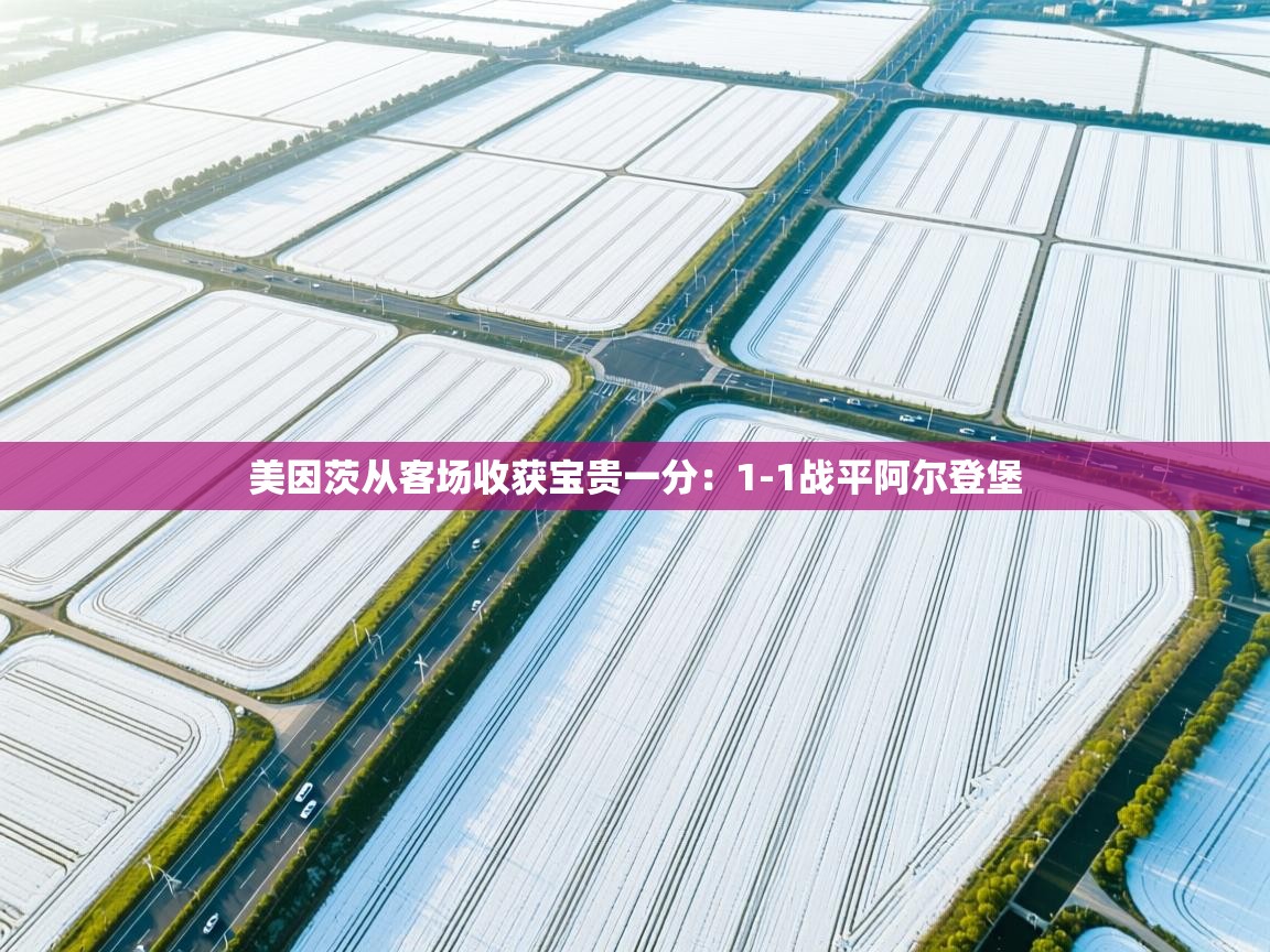 美因茨从客场收获宝贵一分：1-1战平阿尔登堡  第1张