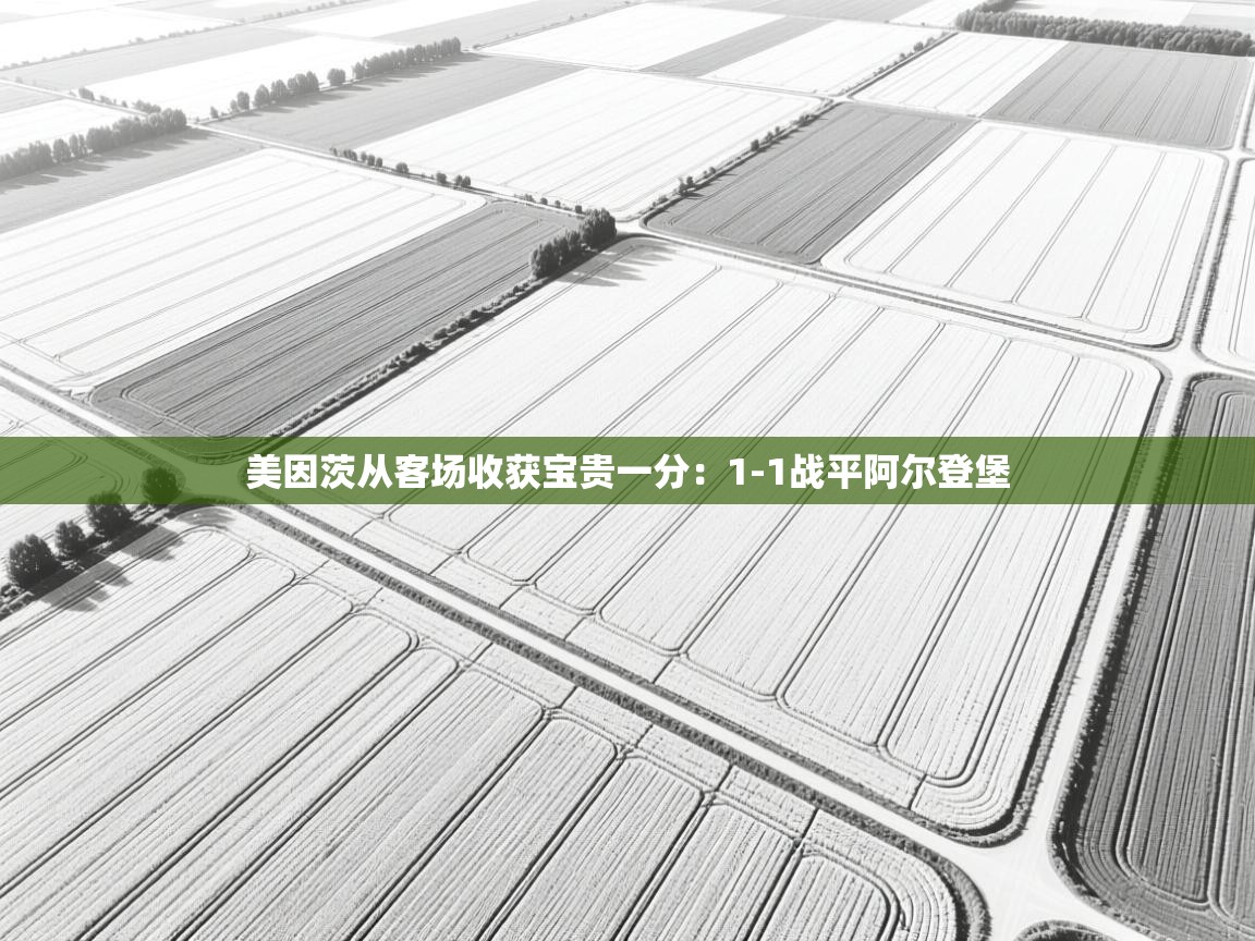 美因茨从客场收获宝贵一分：1-1战平阿尔登堡  第2张