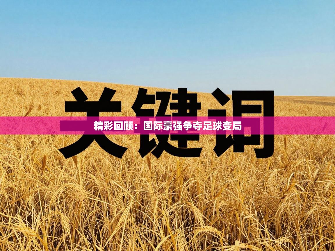 精彩回顾：国际豪强争夺足球变局  第2张