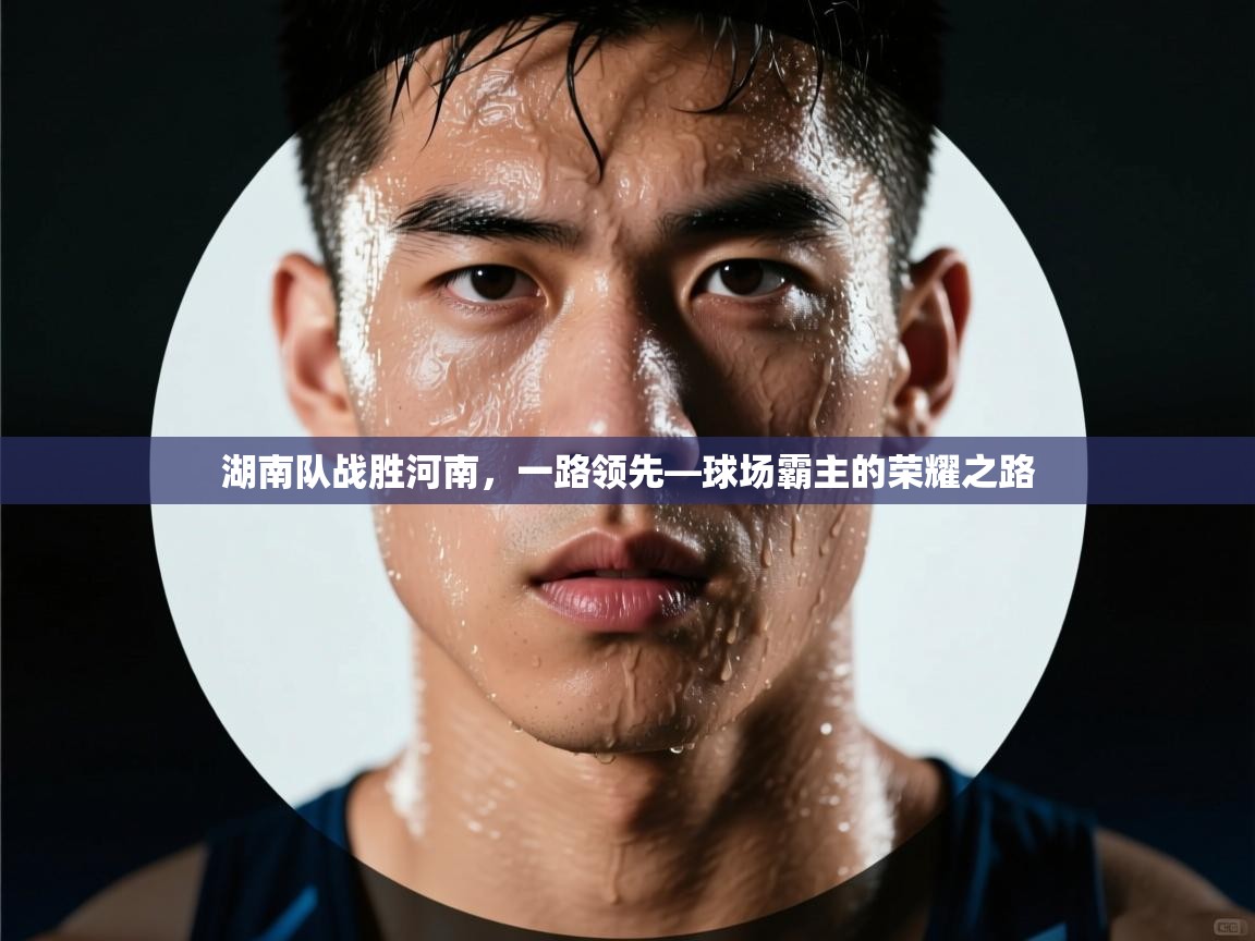 湖南队战胜河南,一路领先—球场霸主的荣耀之路 第1张