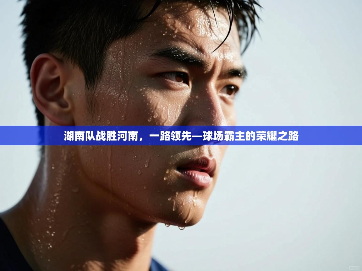 湖南队战胜河南,一路领先—球场霸主的荣耀之路 第2张